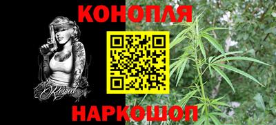 стафф Будённовск
