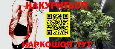 стафф Будённовск