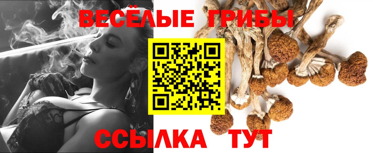 Псилоцибиновые грибы мухоморы  Псилоцибиновые грибы GOLDEN TEACHER  купить  сайты  Салехард  Вход с VPN 